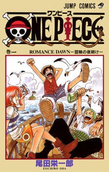 One Piece book cover